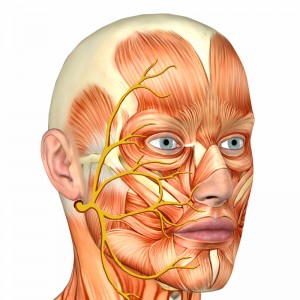 Botox for Facial Paralysis