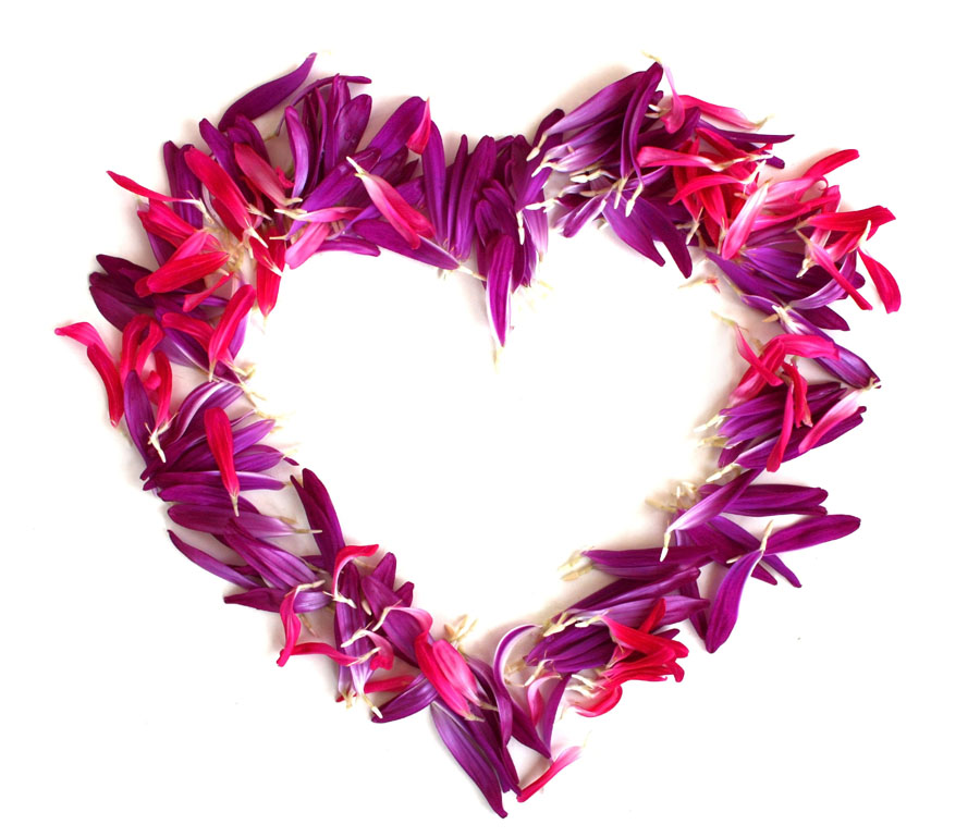 Heart shaped flower petals